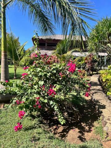 Villa Milena Nosy-Be Bagian luar foto